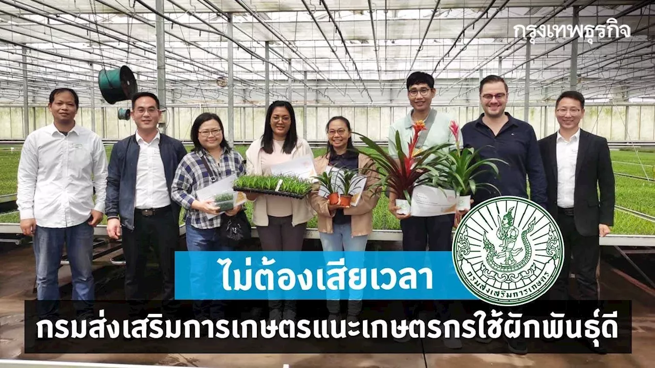 ไม่ต้องเสียเวลา กรมส่งเสริมการเกษตร แนะเกษตรกรใช้ผักพันธุ์ดี เพิ่มรายได้