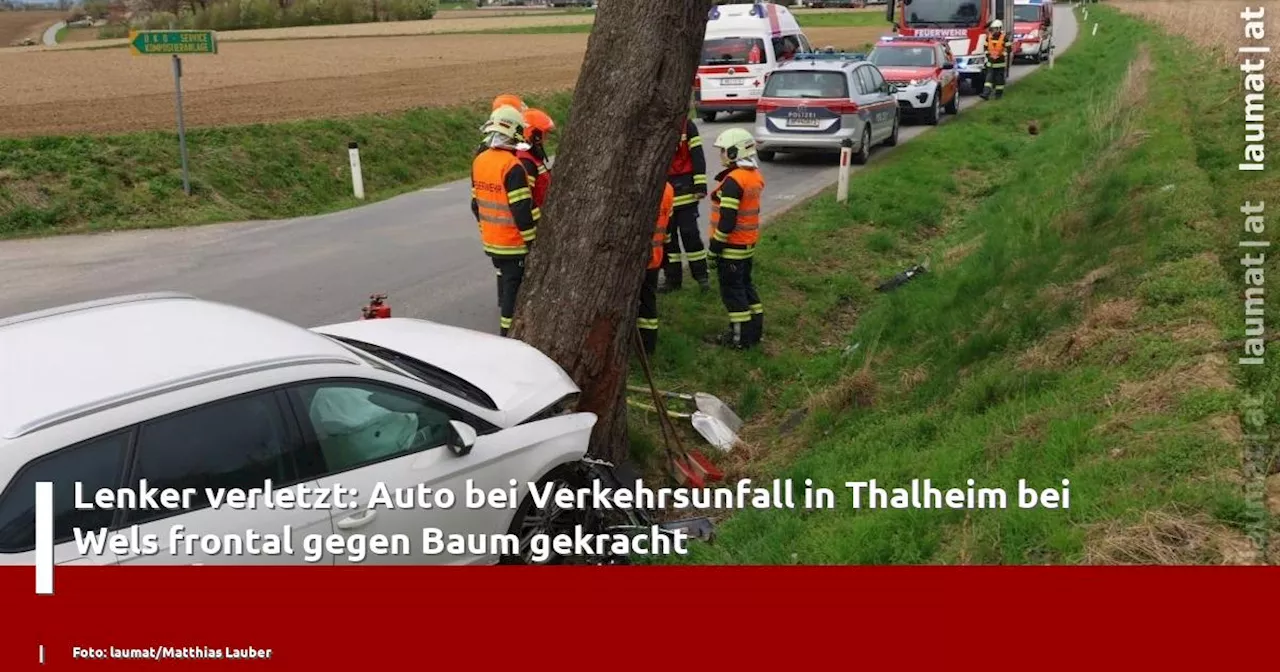 Lenker verletzt: Auto bei Verkehrsunfall in Thalheim bei Wels frontal gegen Baum gekracht