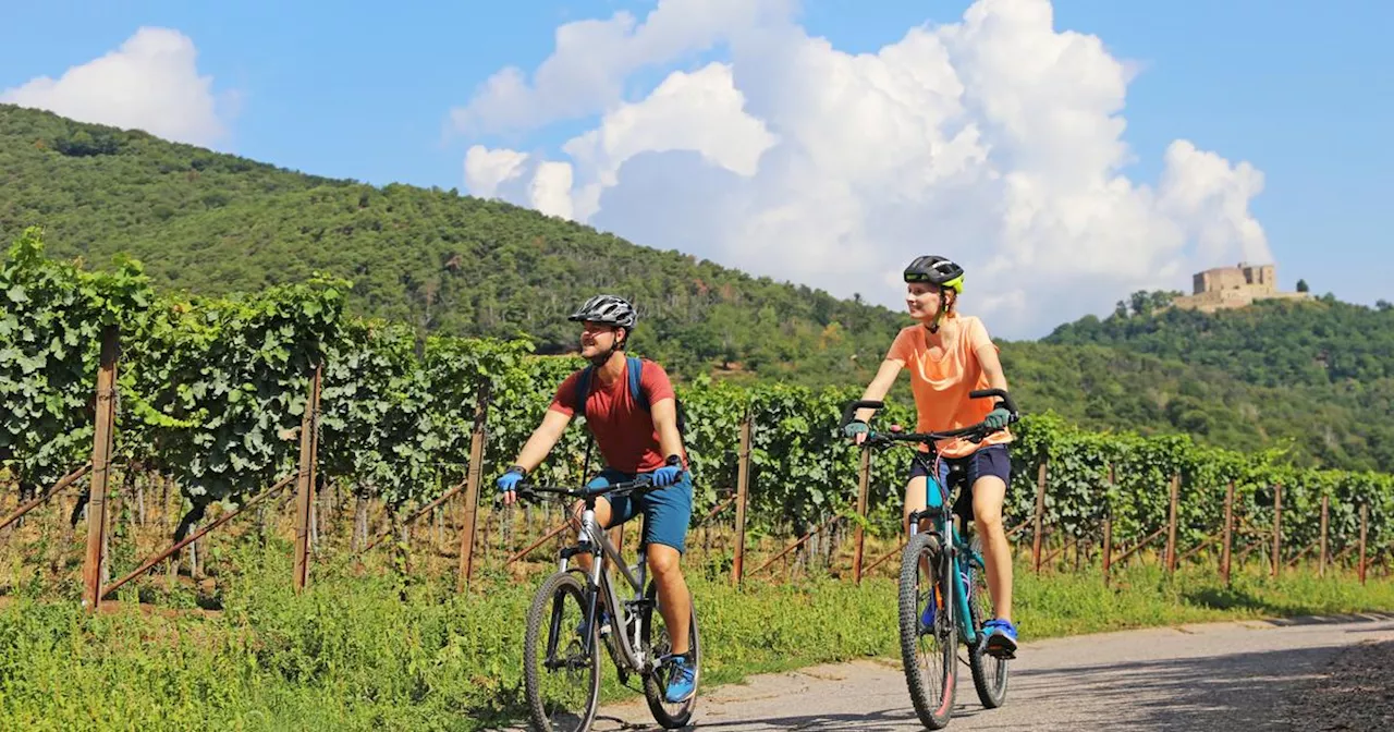 Vélo : un nouvel itinéraire accessible aux débutants entre le Mont Saint-Michel et Nantes