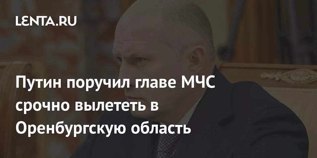 Путин поручил главе МЧС срочно вылететь в Оренбургскую область