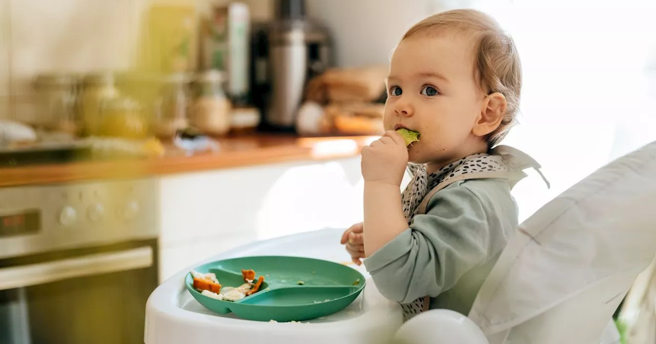 Ella's Kitchen Offers Free Guide for Feeding Fussy Eaters