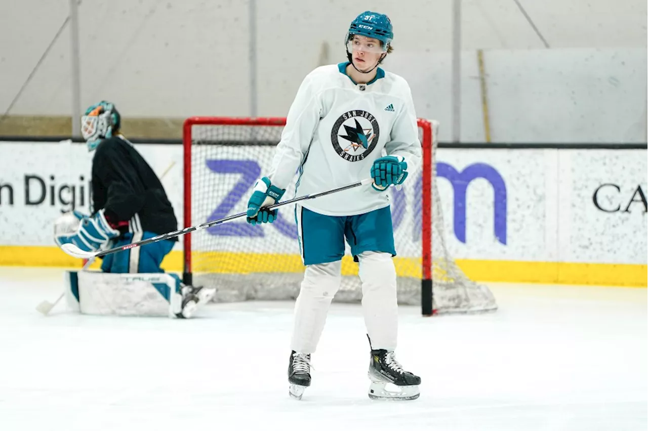 What do the Sharks want to see in Collin Graf’s NHL debut?