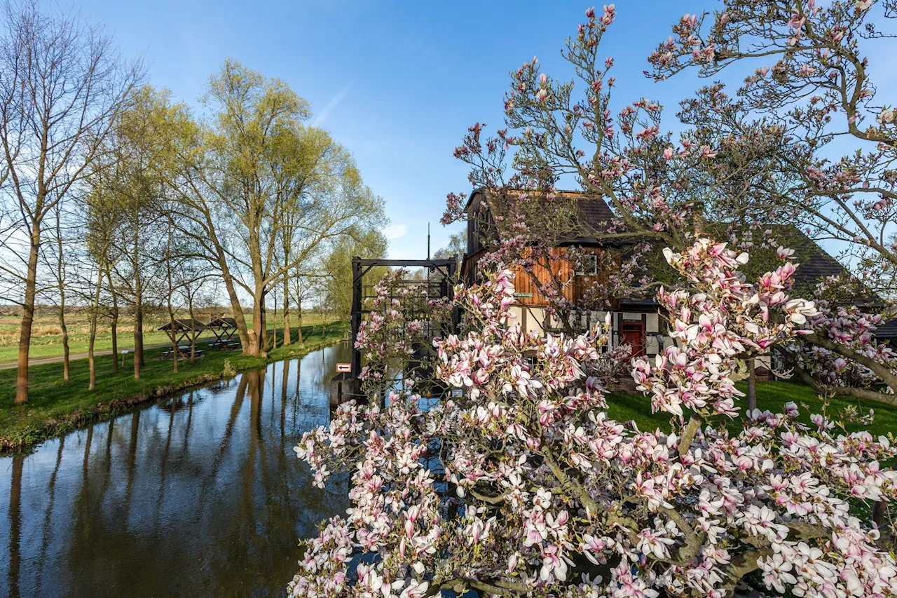 Ungewöhnlich warmes Wetter in Südbrandenburg