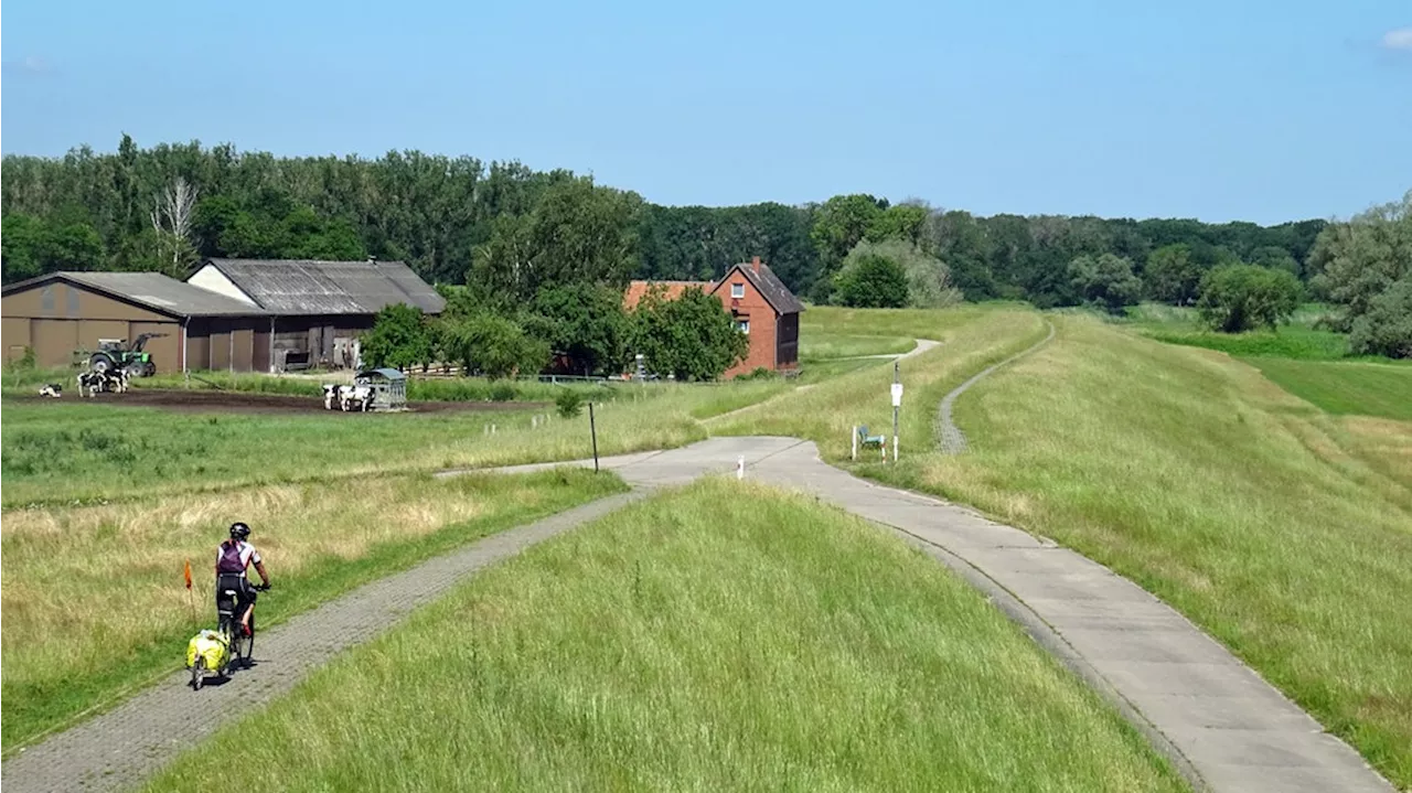 Die unberührte Natur der Flusslandschaft Elbe