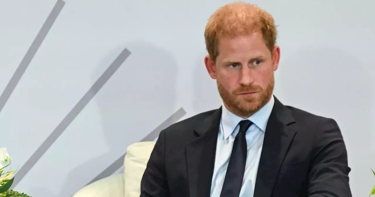 Prince Harry 'will have to see' King and Prince William during UK return