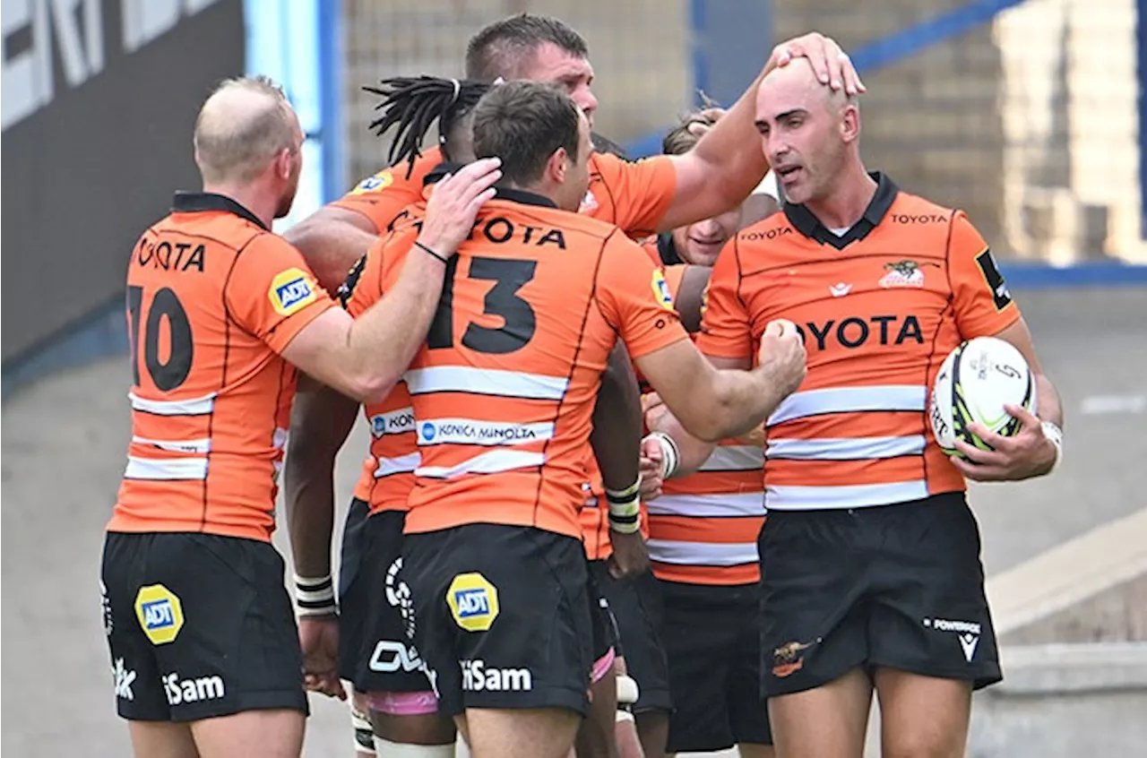 Cheetahs and Ulster on Track for Challenge Cup Clash