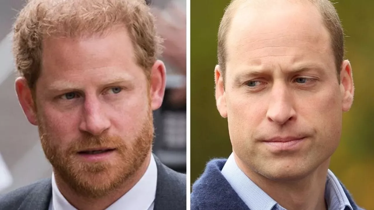 ‘Awkward’: Harry, William plan underway