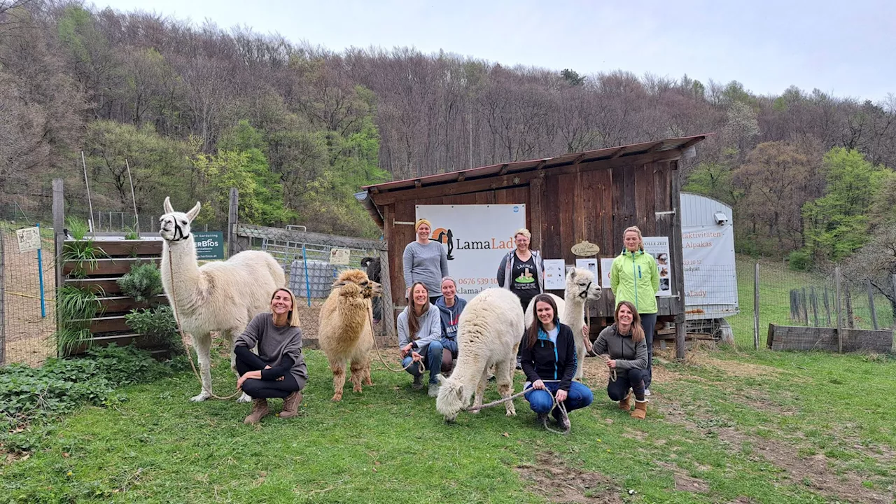 Workshop bei „Lama-Lady“ in Maria Anzbach