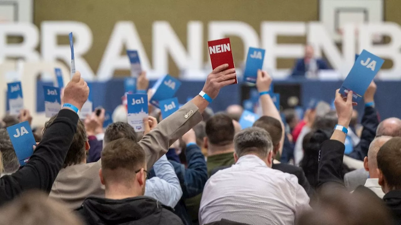 Berlin & Brandenburg: AfD berät Programm und Kandidaten zur Landtagswahl