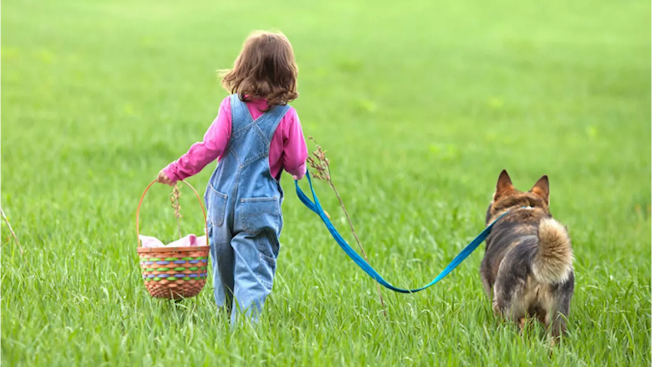 Contrastare l’obesità nei bambini? Facile come passeggiare con un cane