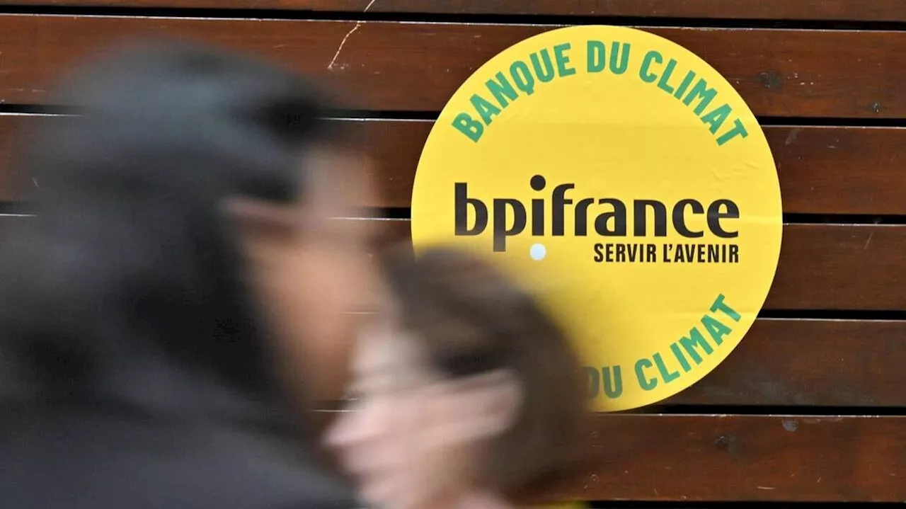 La Banque publique d'investissement soutient les petites entreprises