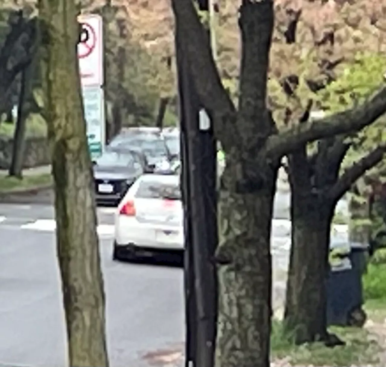 Man Driving Without License Plate Stops at Red Light