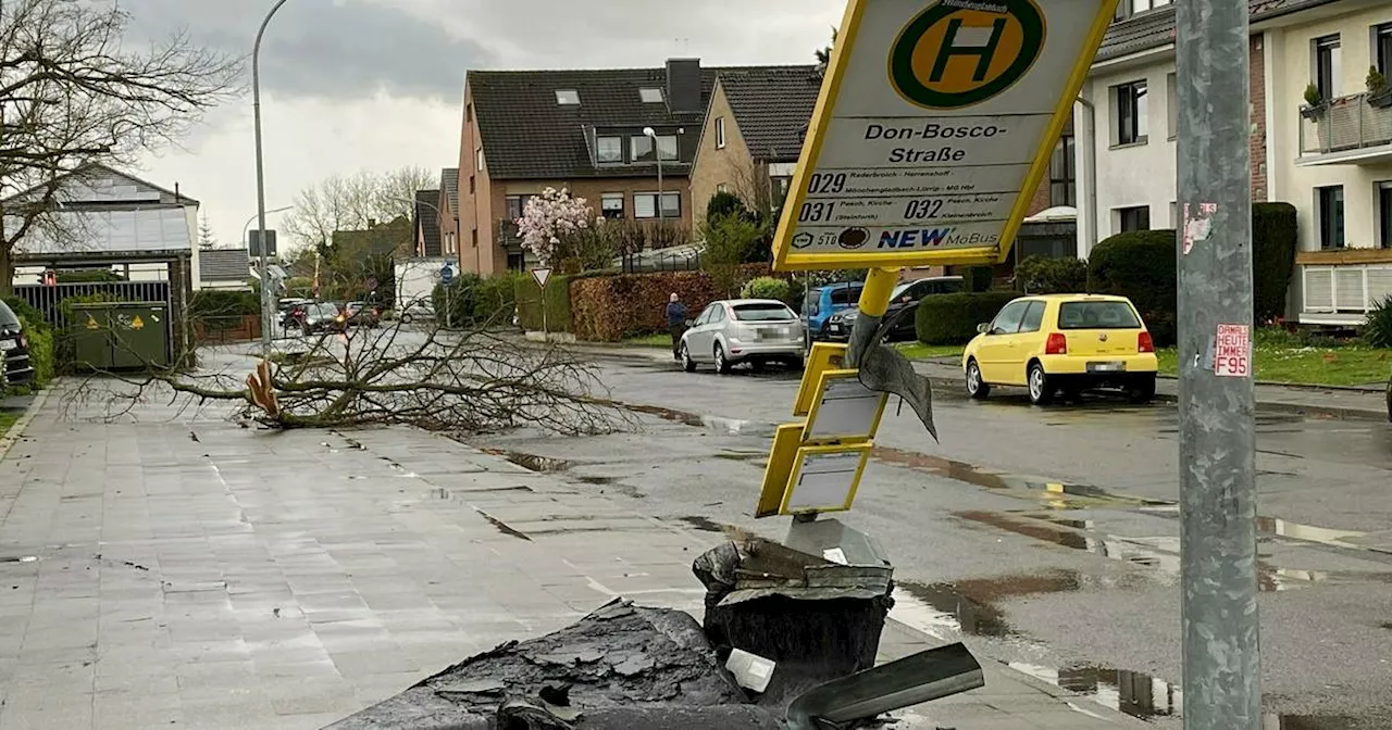 Korschenbroich: Sturm hinterlässt Verwüstung - „Das war richtig gruselig“