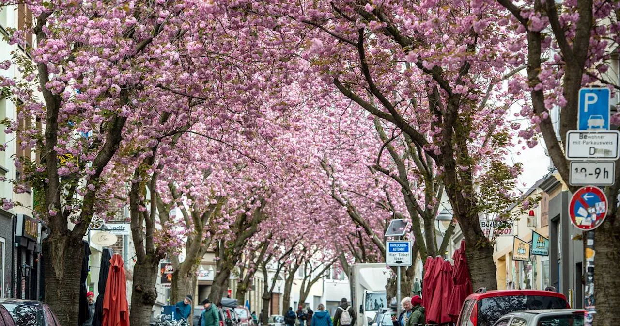 Sommertag in NRW: Bis zu 24 Grad und Sonne