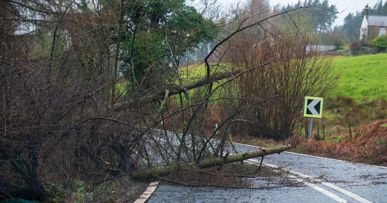 Damaging gusts begin to sweep across Ireland as Storm Kathleen hits