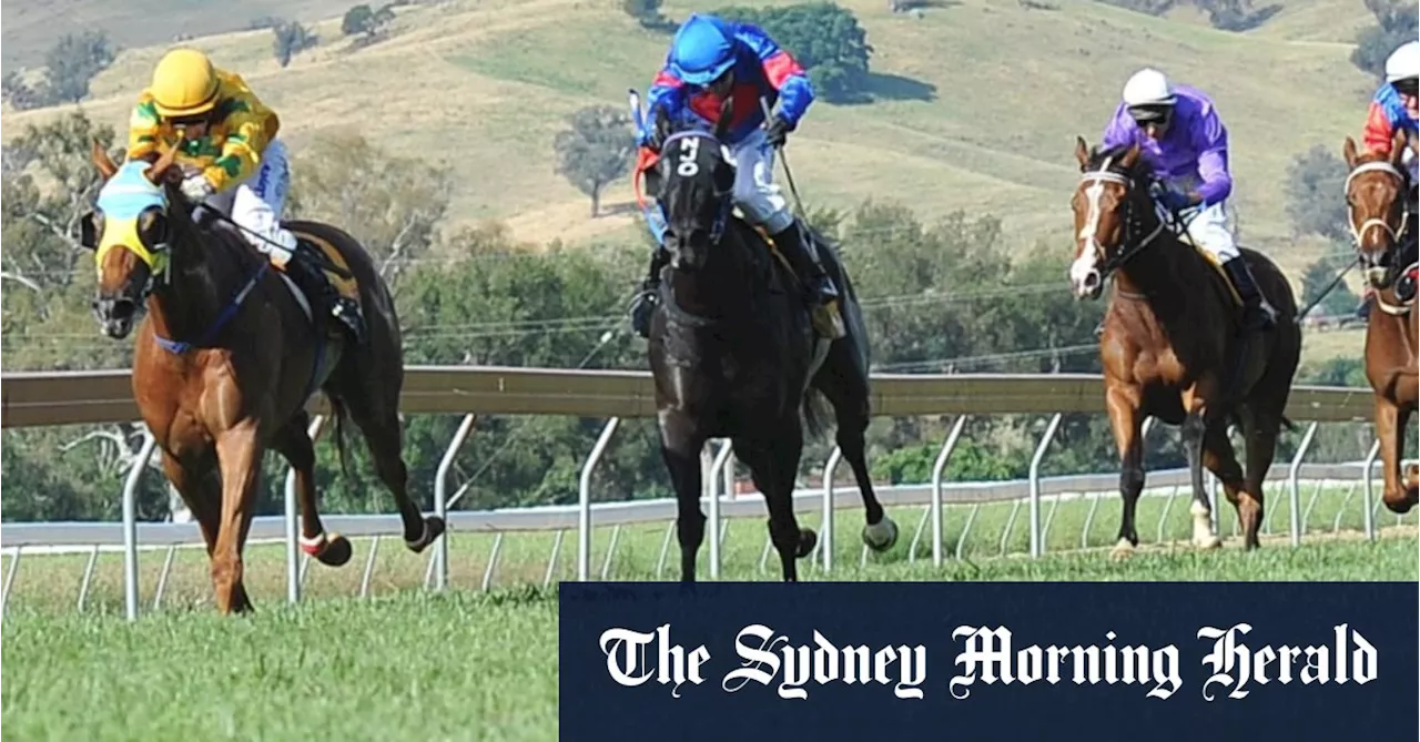 Race-by-race preview and tips for Gundagai on Sunday