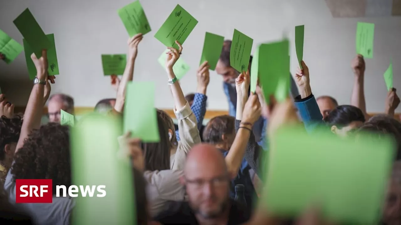  Grüne wollen stärker für ihre Kernthemen mobilisieren