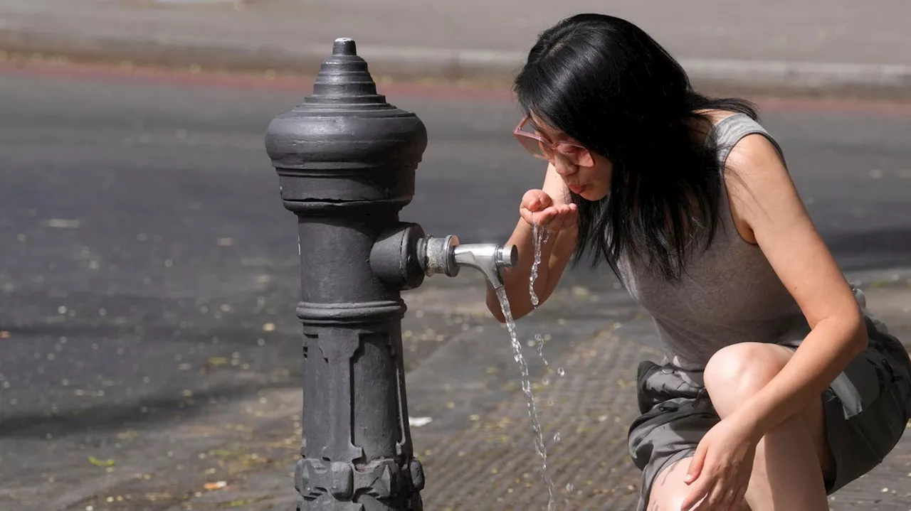 Hitze-Wochenende: So ist Deutschland auf Rekordtemperaturen vorbereitet