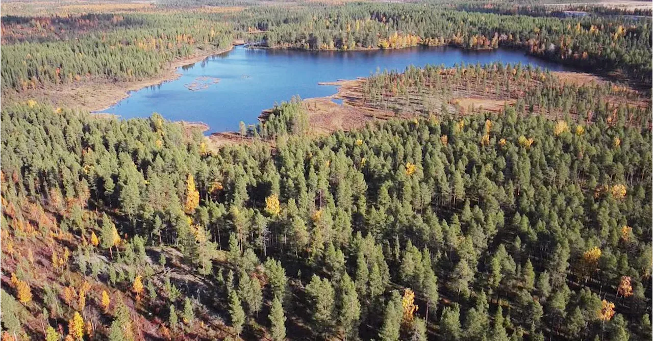 Kiruna kommun avbryter arbetet med detaljplan för grafitgruva