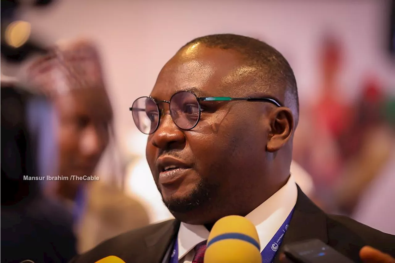 EXTRA: Nigerians keep freezers on for days due to low electricity tariff, says Adelabu