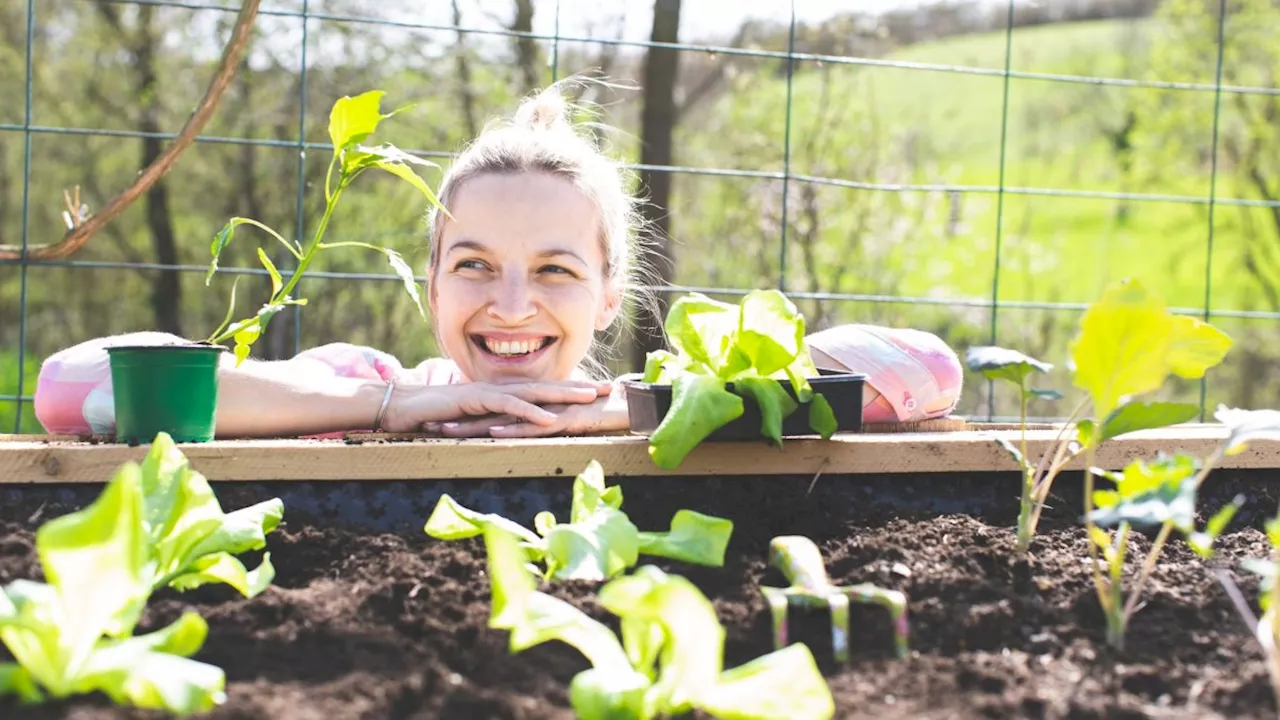 April is the busiest time for gardeners – here’s how to get it right