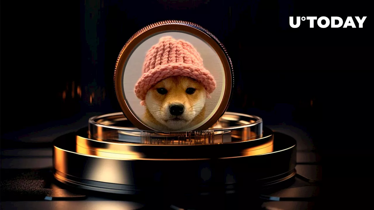 Dogwifhat (WIF) Chasing After DOGE and SHIB: New Top Dog Meme Coin to Come?