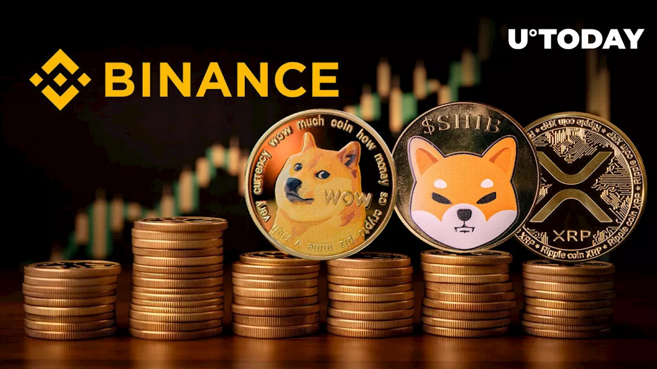 Here's How Much XRP, SHIB and DOGE Binance Currently Holds