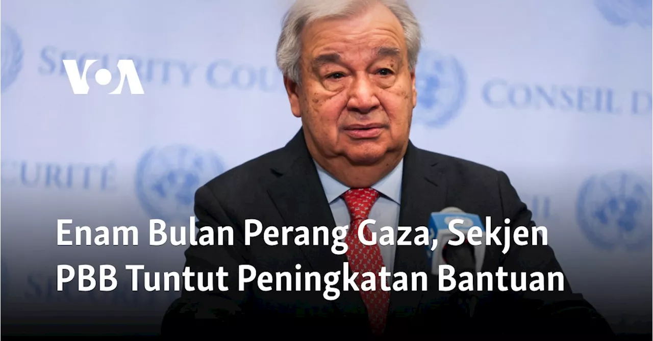 Enam Bulan Perang Gaza, Sekjen PBB Tuntut Peningkatan Bantuan