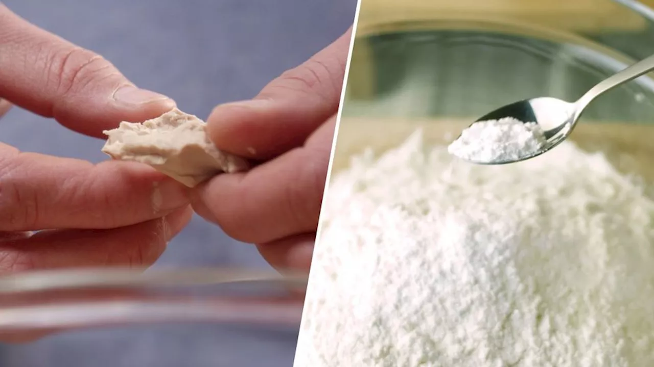 Fluffige Hefebrötchen mit Kürbiskernen - Perfekt für den Brunch am Wochenende