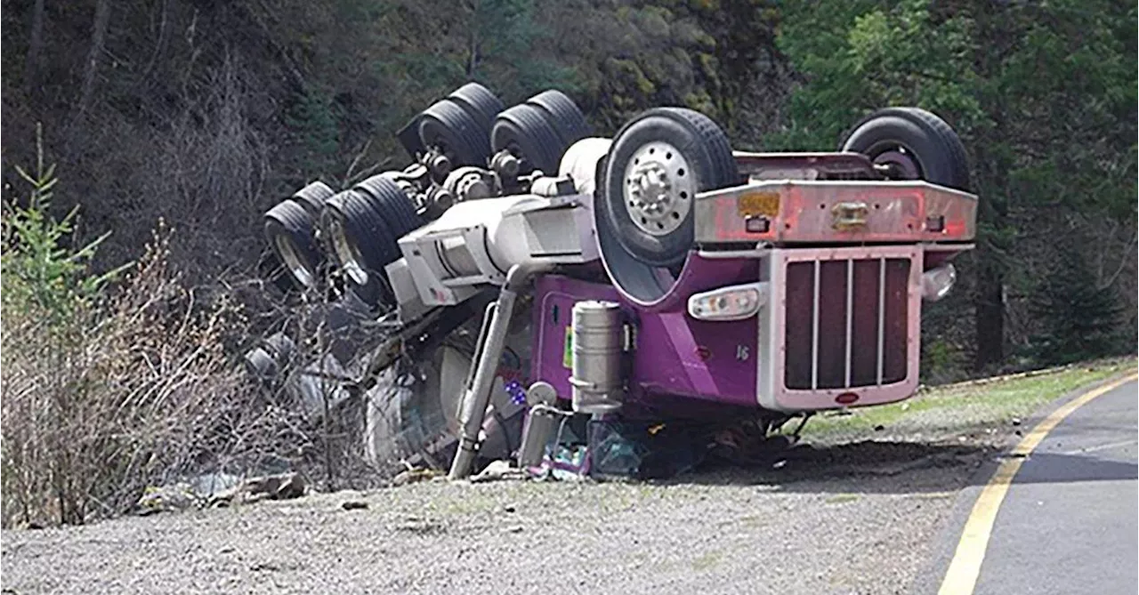 Tens of thousands of live salmon fell off a truck in US