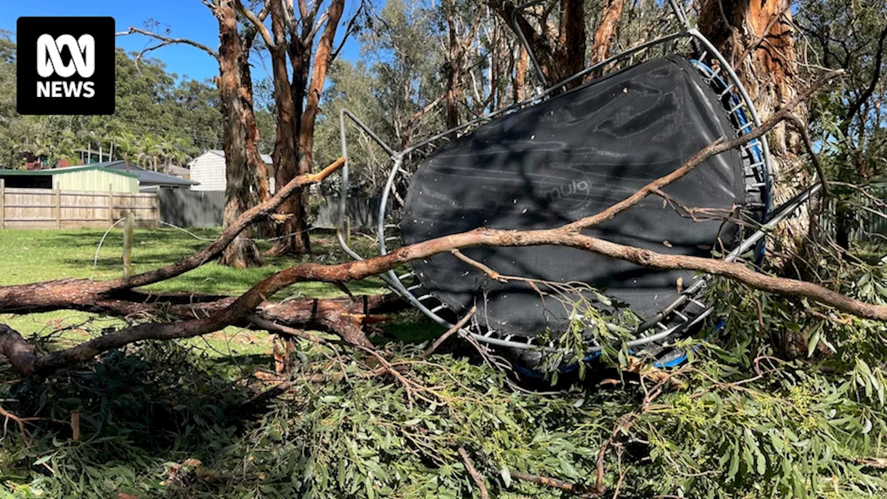 Waterspout wreaks havoc after making landfall at Green Point as wild weather batters NSW