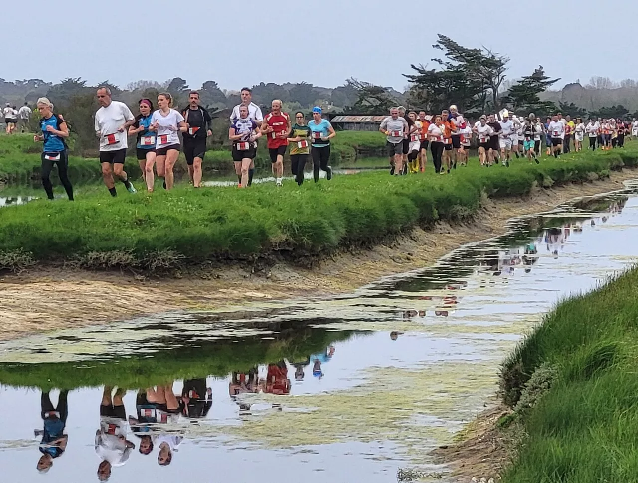 Près de 800 coureurs et marcheurs participent à la manifestation '10 K'ile s'enflamme'