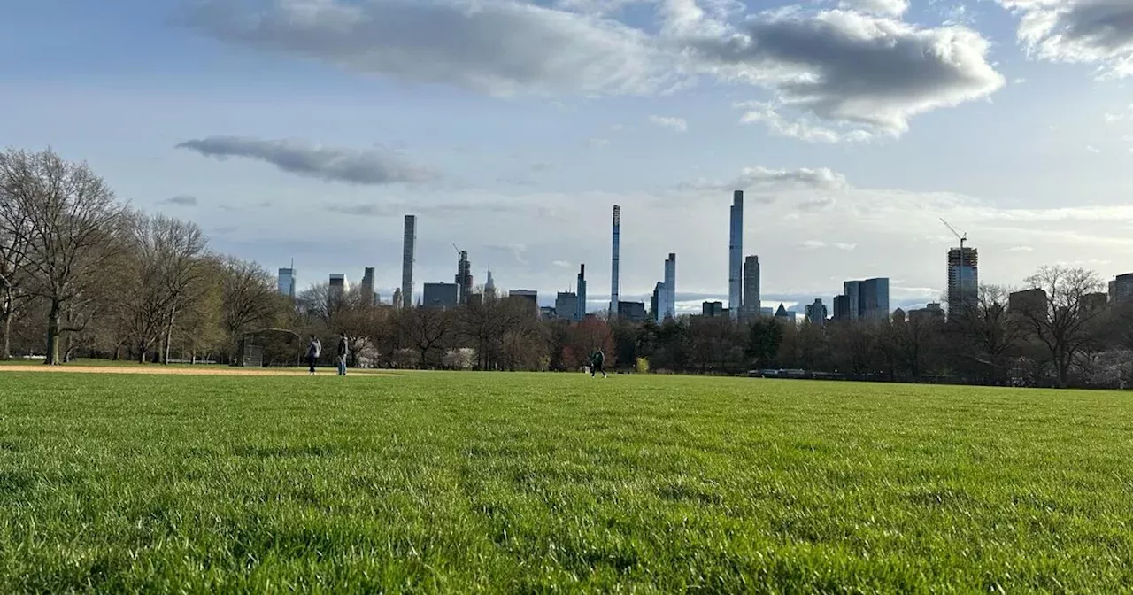 Il Grand Lawn di Central Park riapre dopo sei mesi di lavori | Notizie ...