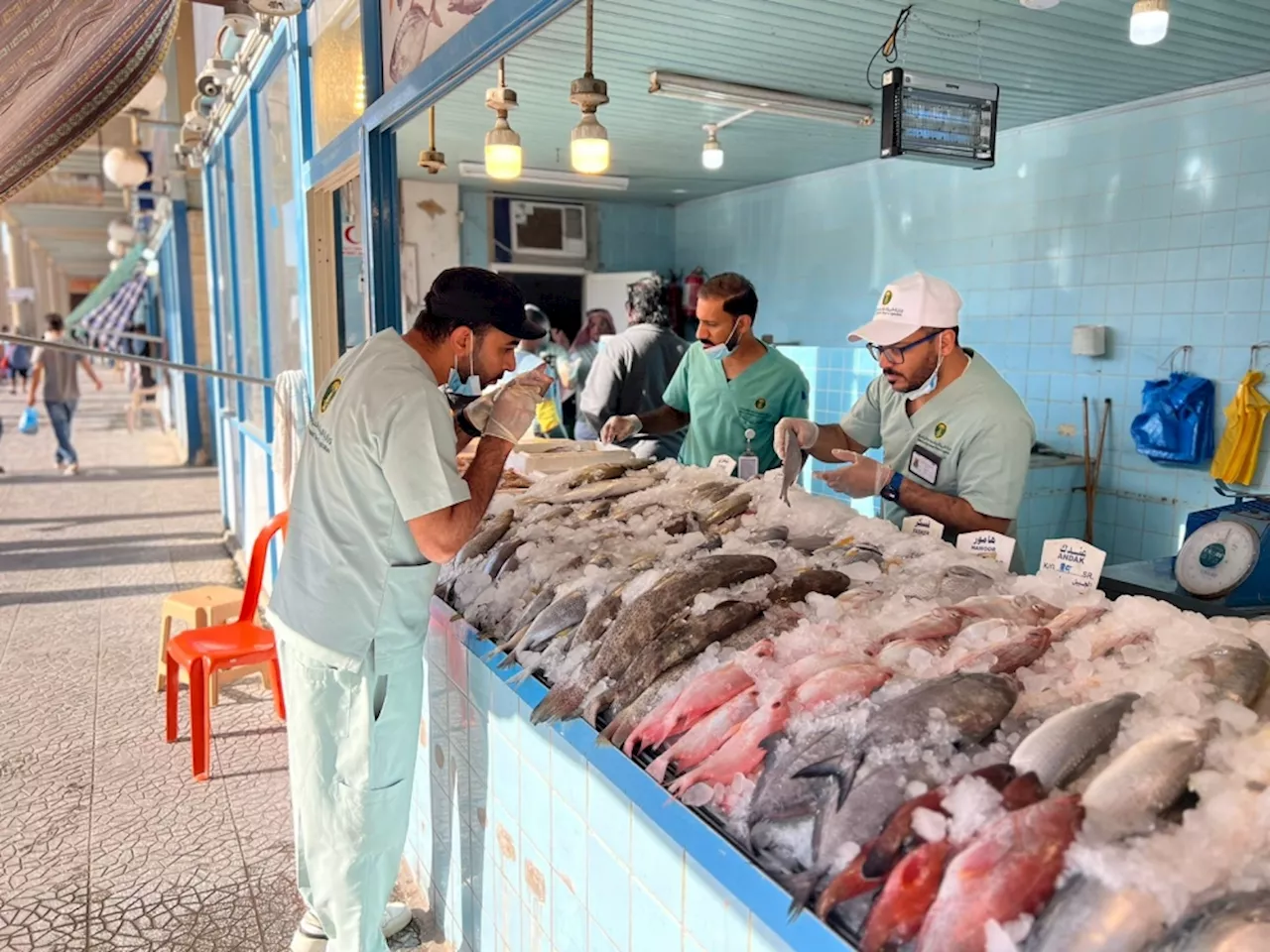 'حملة الفجر' تضبط 300 كيلو جرام من الأسماك الفاسدة بسوق الجبيل المركزي