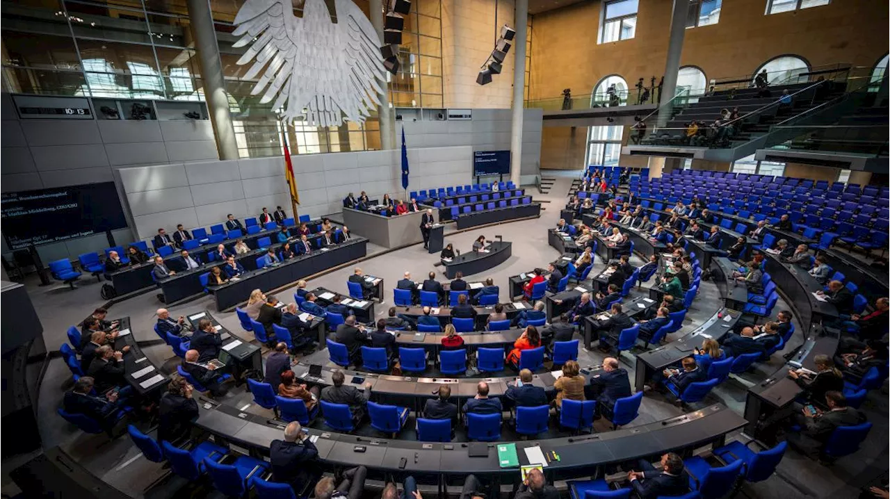 Fast die Hälfte staatliche Finanzierung: Die AfD und öffentliche Gelder