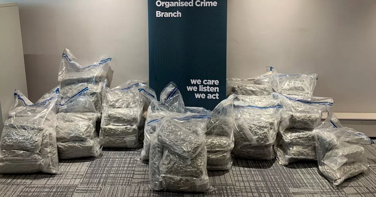 PSNI hail 'huge blow' to organised crime with £1.25m 'major haul' of cannabis