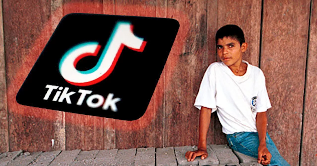 Colombian Government Urges Citizens to Denounce FARC's TikTok Recruitment