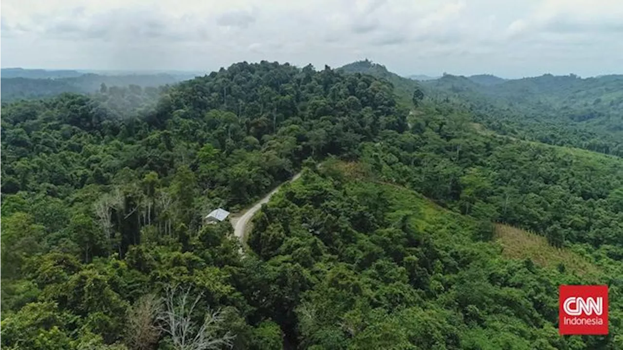 Sebanyak 84 Titik Panas Terdeteksi di Kalimantan Timur