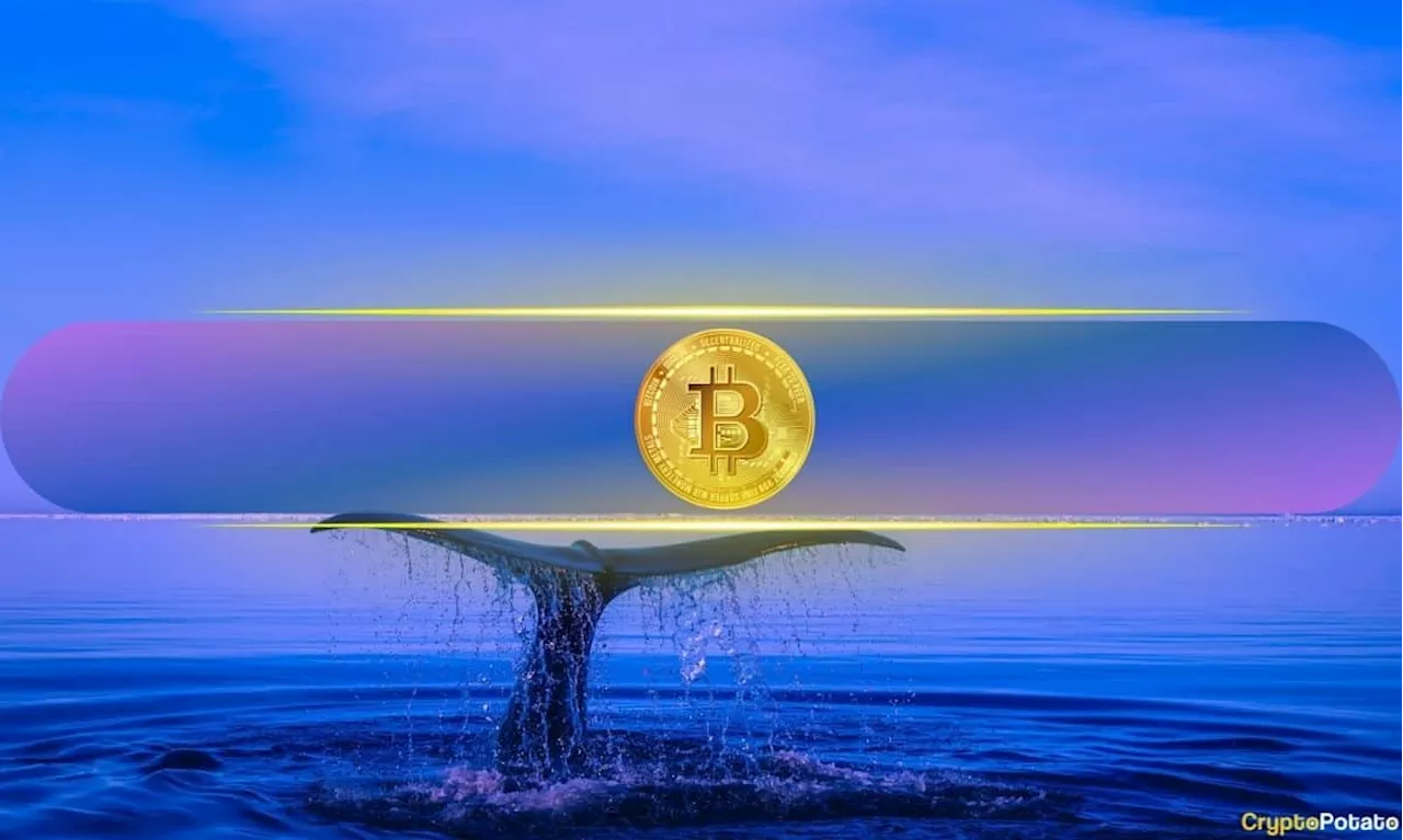 230,000% ROI in a Decade: Dormant Bitcoin Whale Awakes as BTC Price Heads Toward $70K