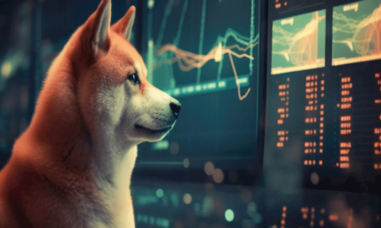 The Rise of Shiba Inu: A Promising Token for Cryptocurrency Investors