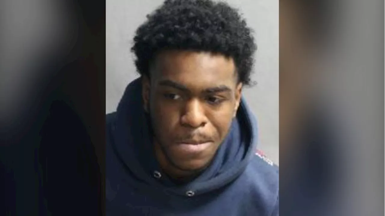 Man pulls gun on Facebook Marketplace seller during meetup in Toronto, steals phone: police