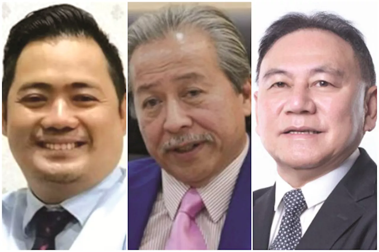 Sabah-based Parties and Former Sabah Umno Leader Criticize Umno Youth Chief's Entry into Sabah