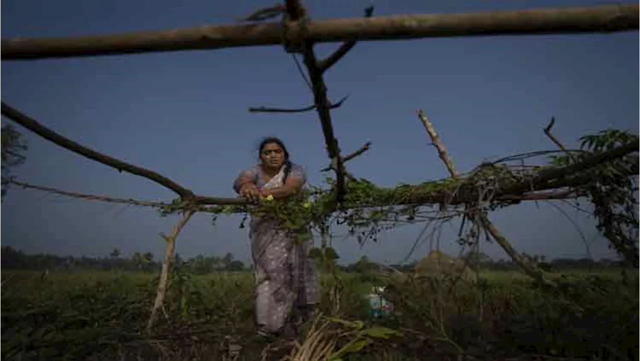 Andhra Pradesh Farmers Use Organic Methods to Combat Climate Change