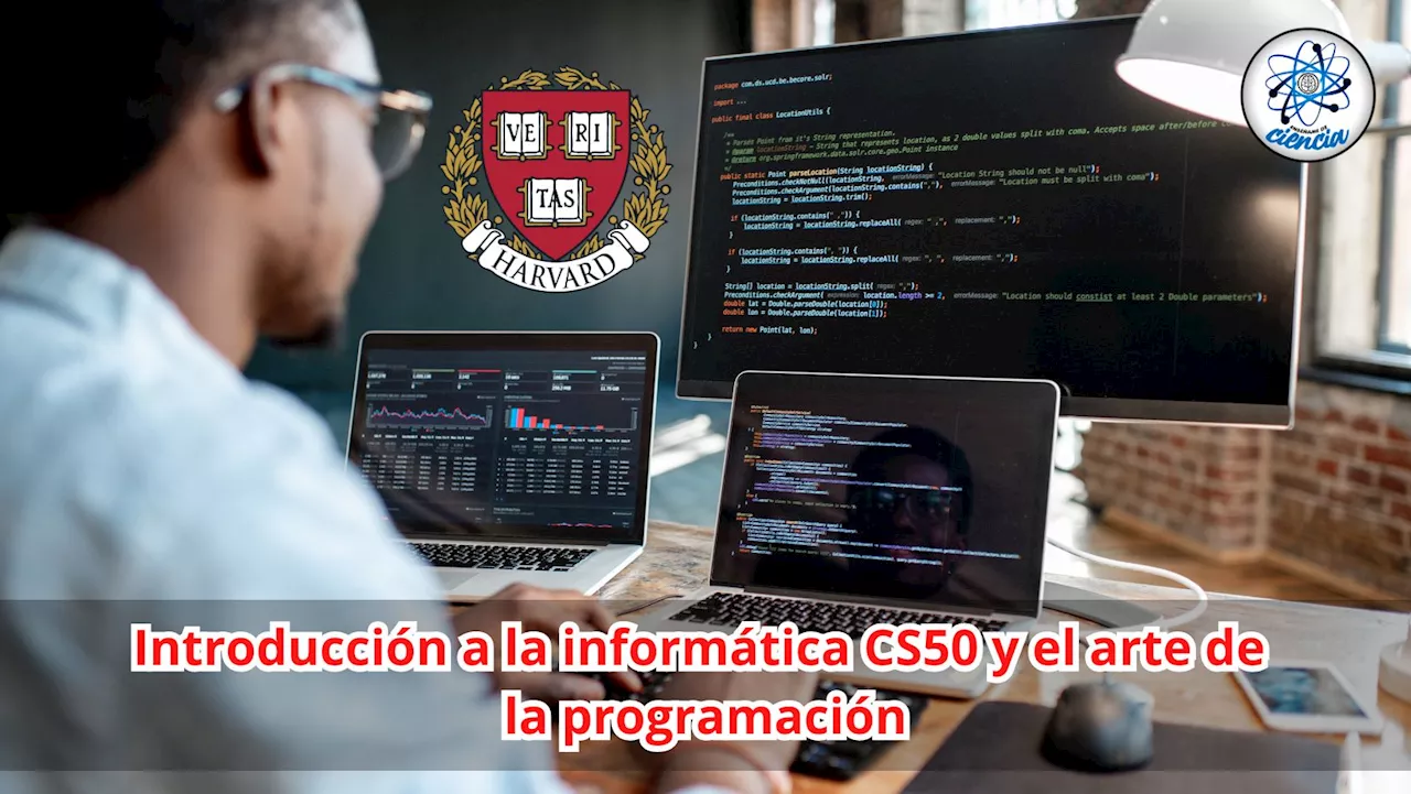 La importancia de la programación en el mundo laboral