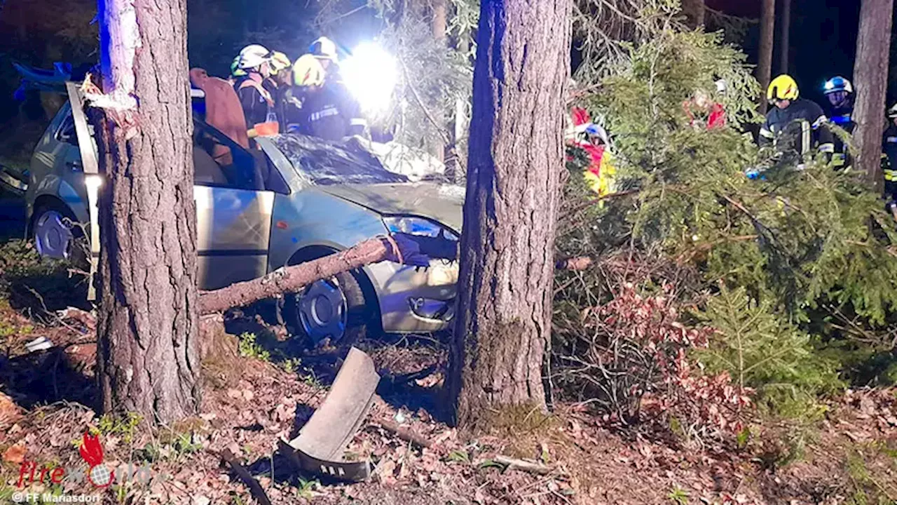 Bgld: Pkw in Waldstück bei Mariasdorf gegen Baum geprallt → eine Person eingeklemmt