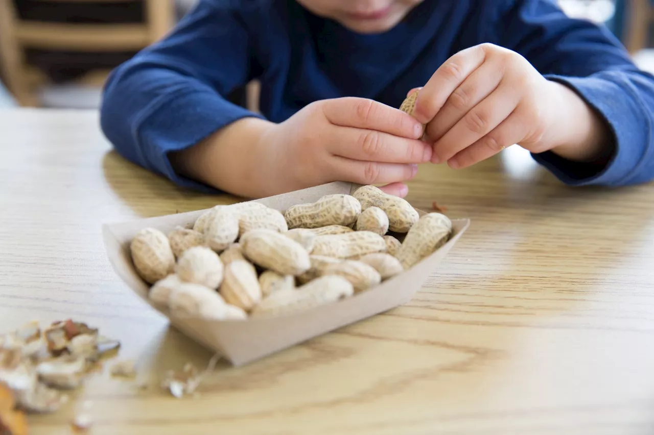 FDA Approves Allergy Drug to Lessen Severity of Reactions to Peanuts, Dairy, Other Foods