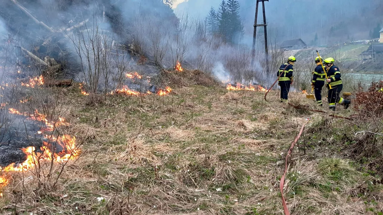 Waldbrand in der Steiermark