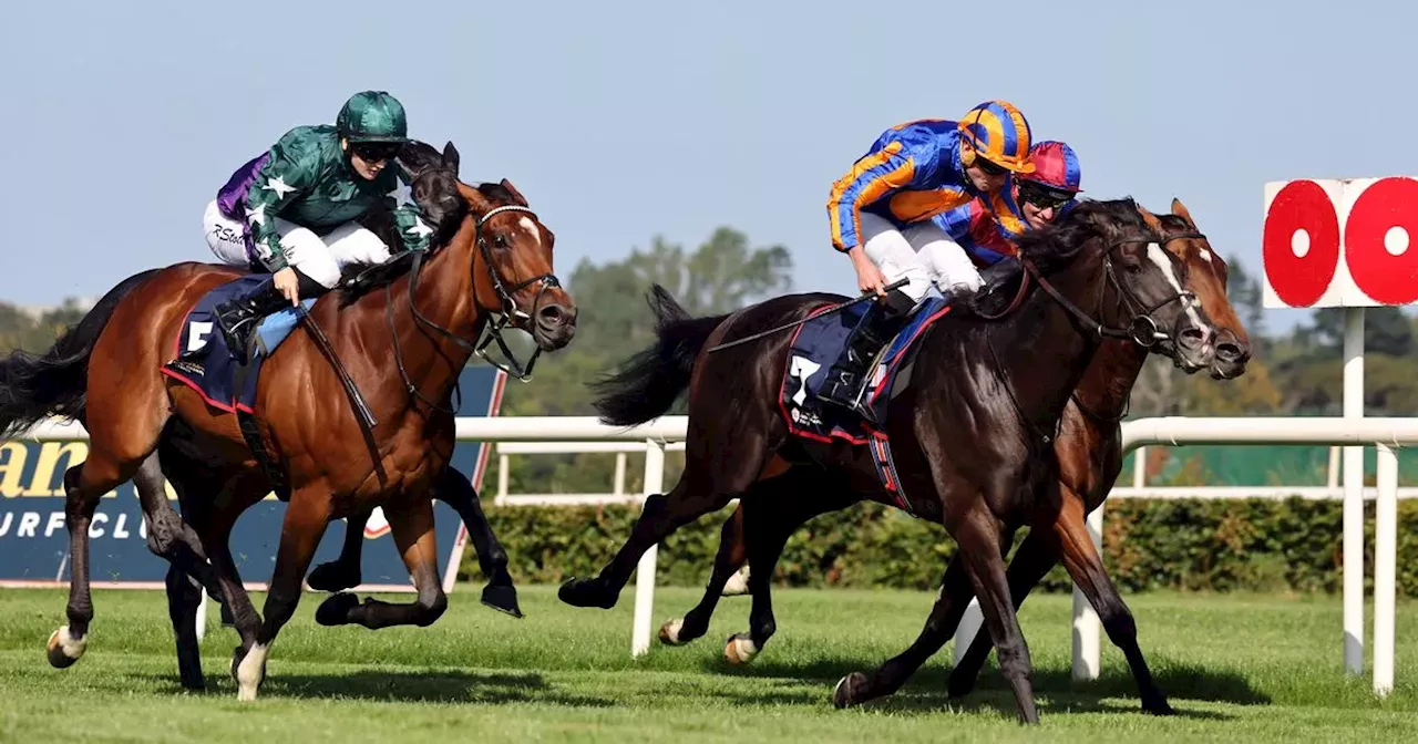 Aidan O'Brien sticks to plan with Auguste Rodin despite disappointing Dubai Sheema Classic