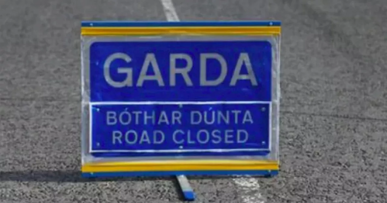 Man, 60s, dies in early morning crash in Dublin as Gardaí launch investigation