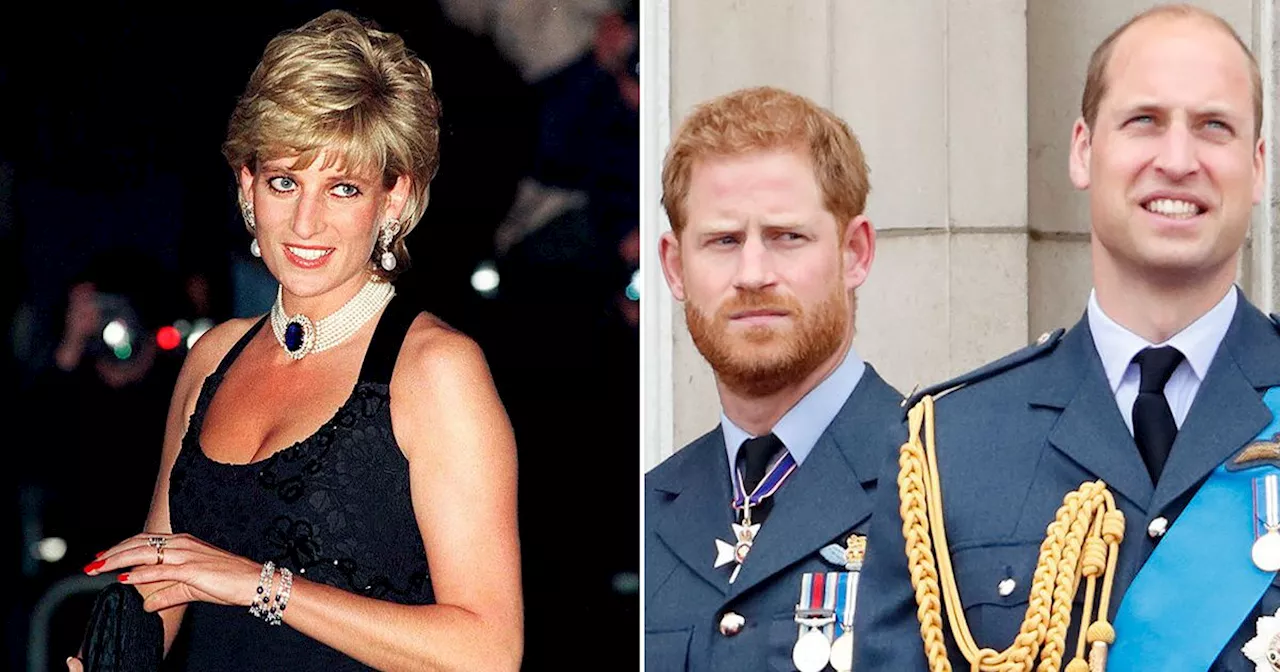 Prince William and Prince Harry's Distant Relationship Disappoints Princess Diana